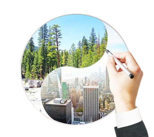 Real Estate Vision